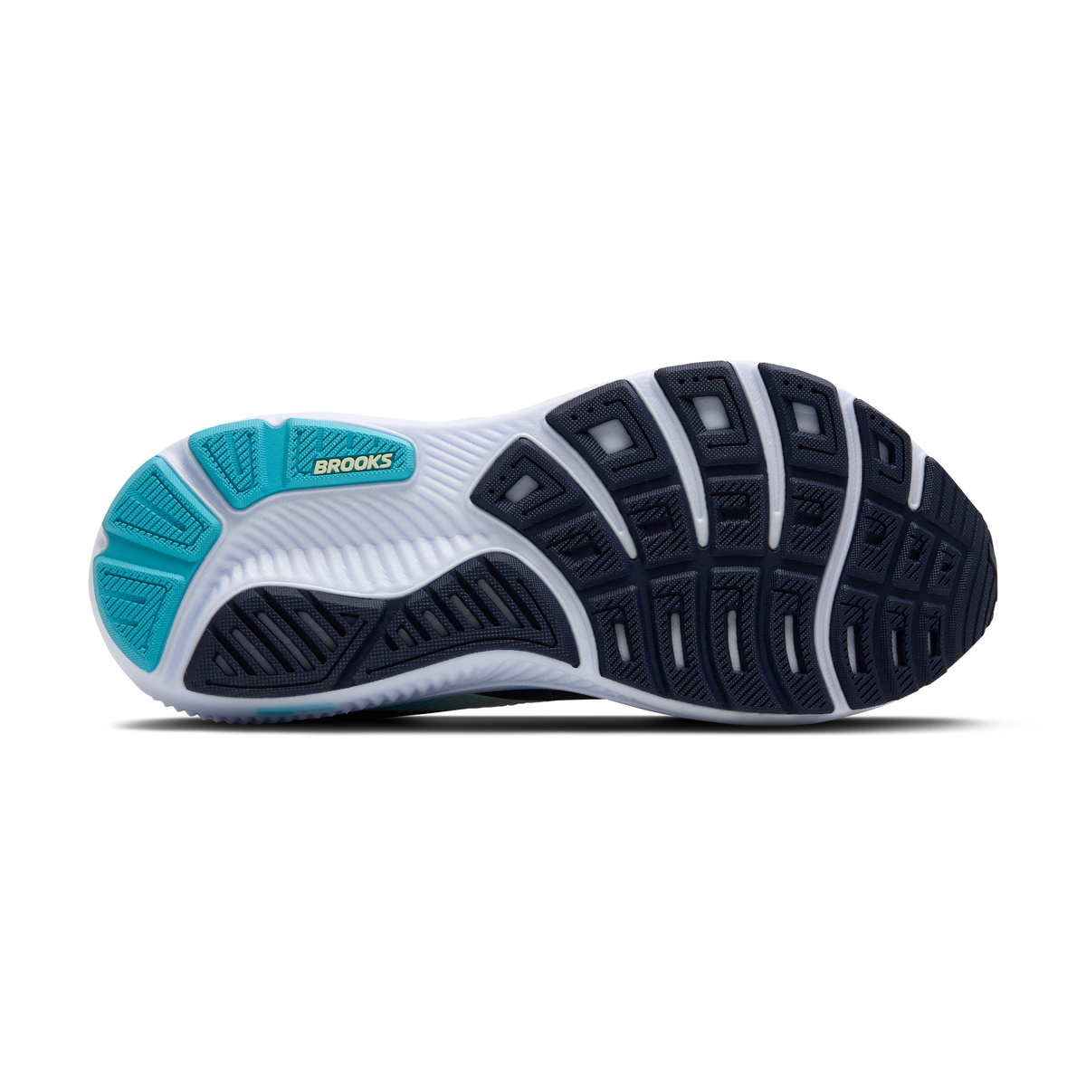sole