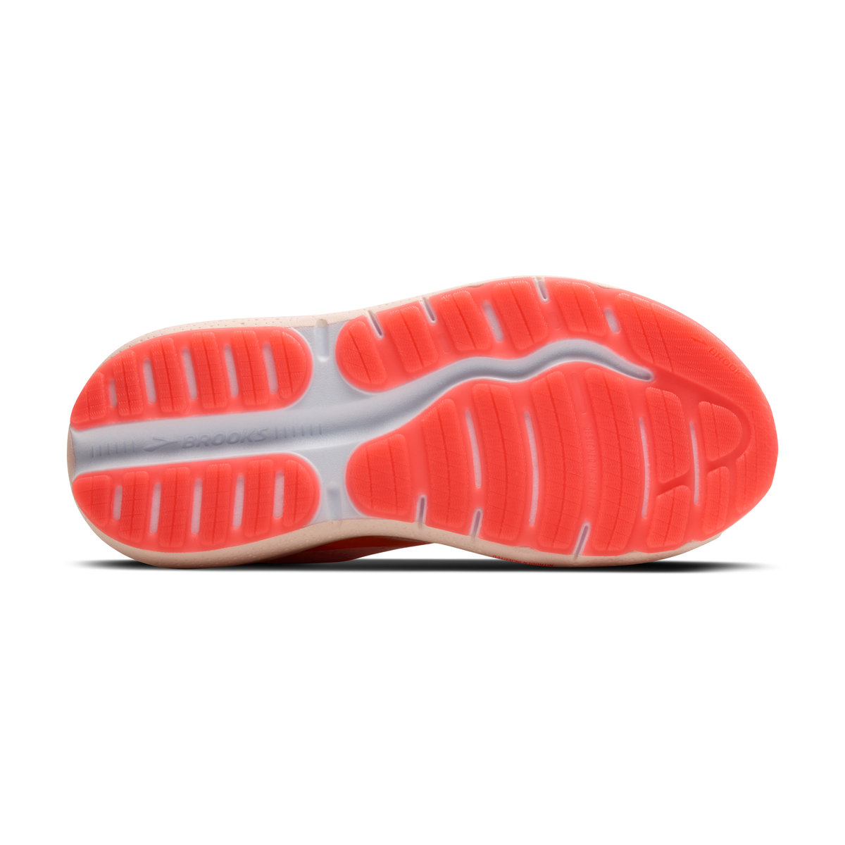 sole