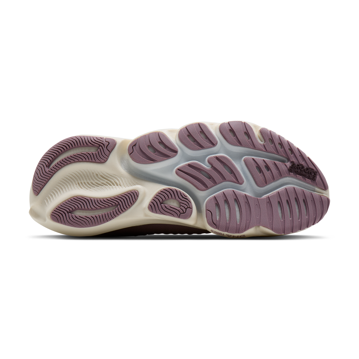 sole