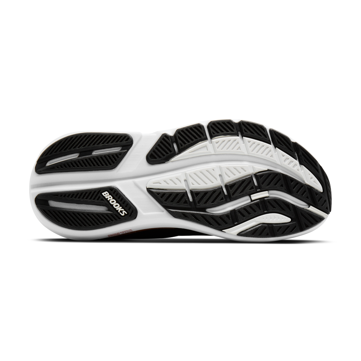sole