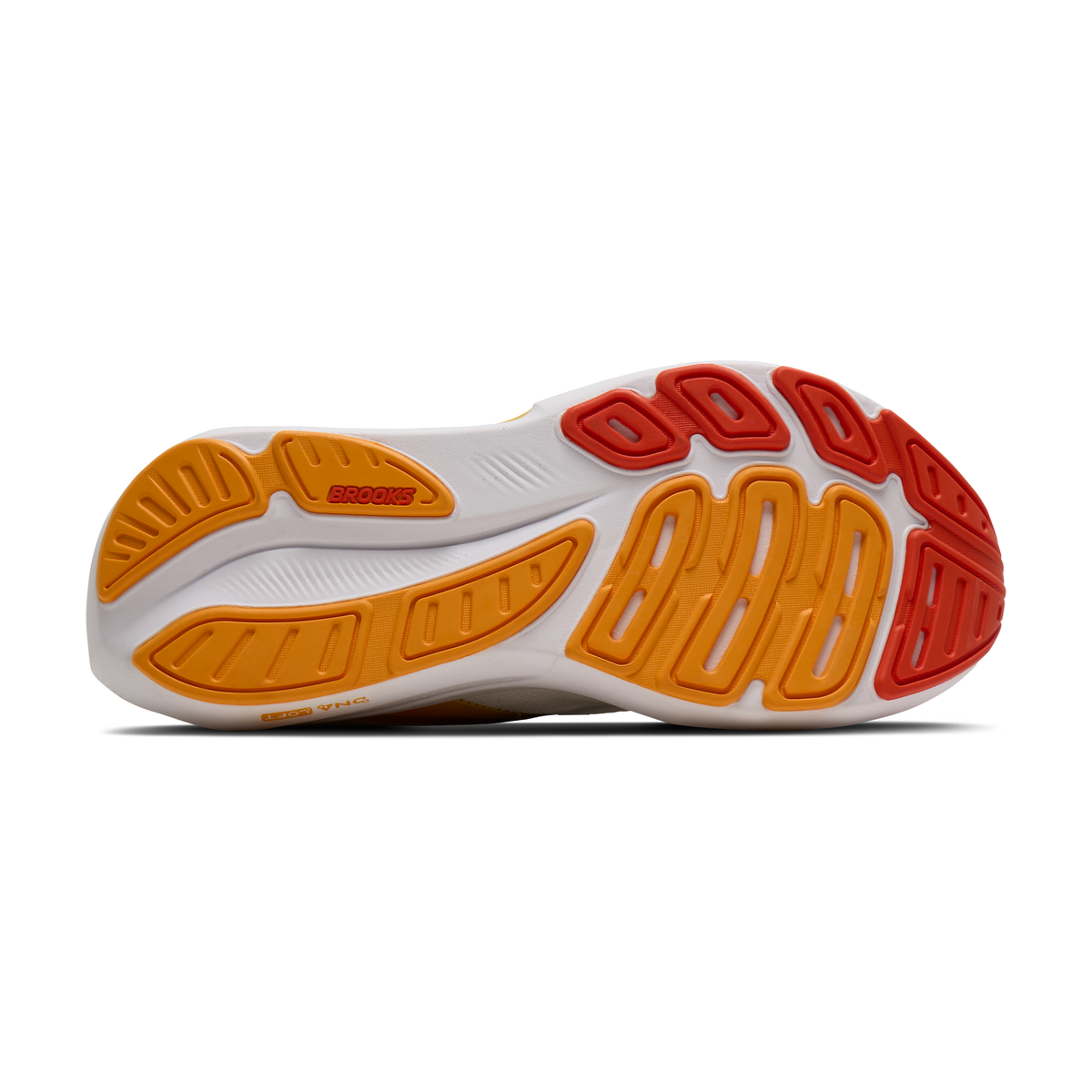 sole