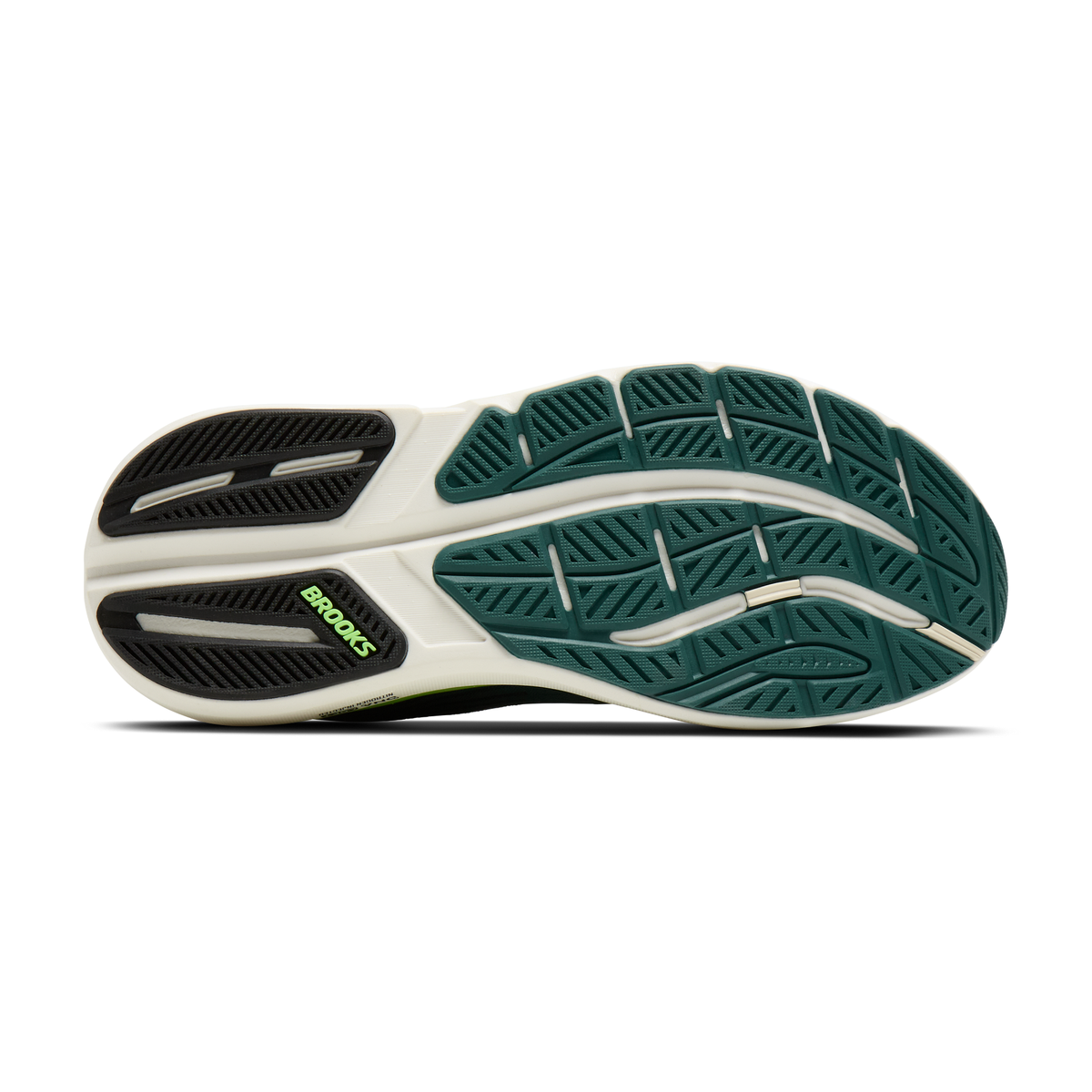 sole