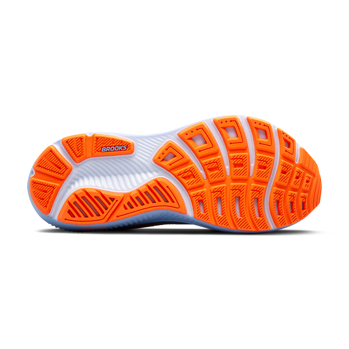 sole