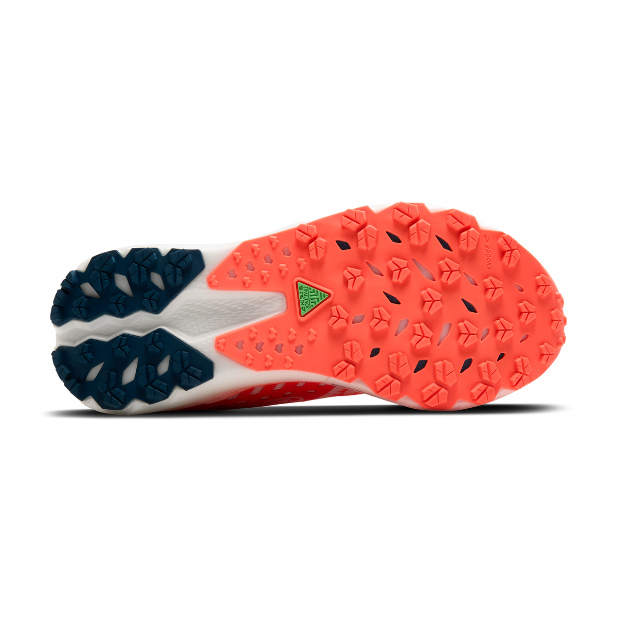 sole