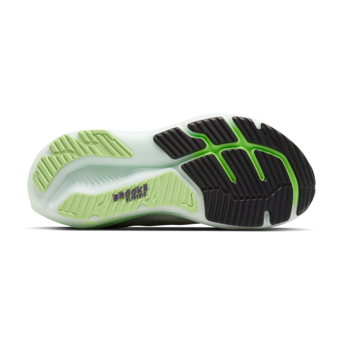 sole