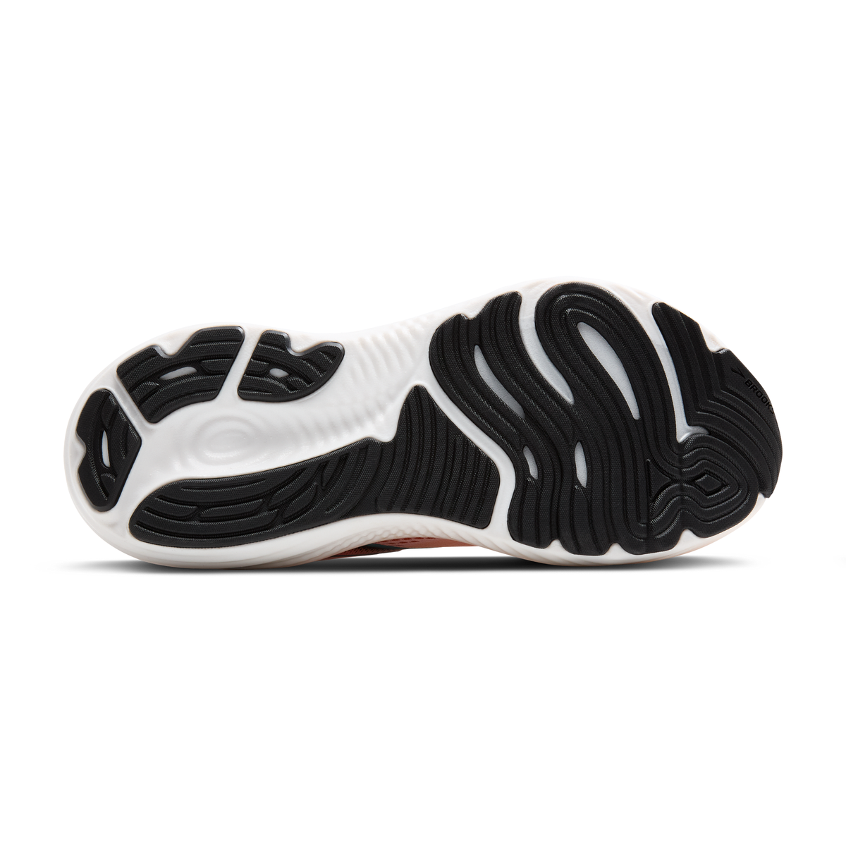 sole