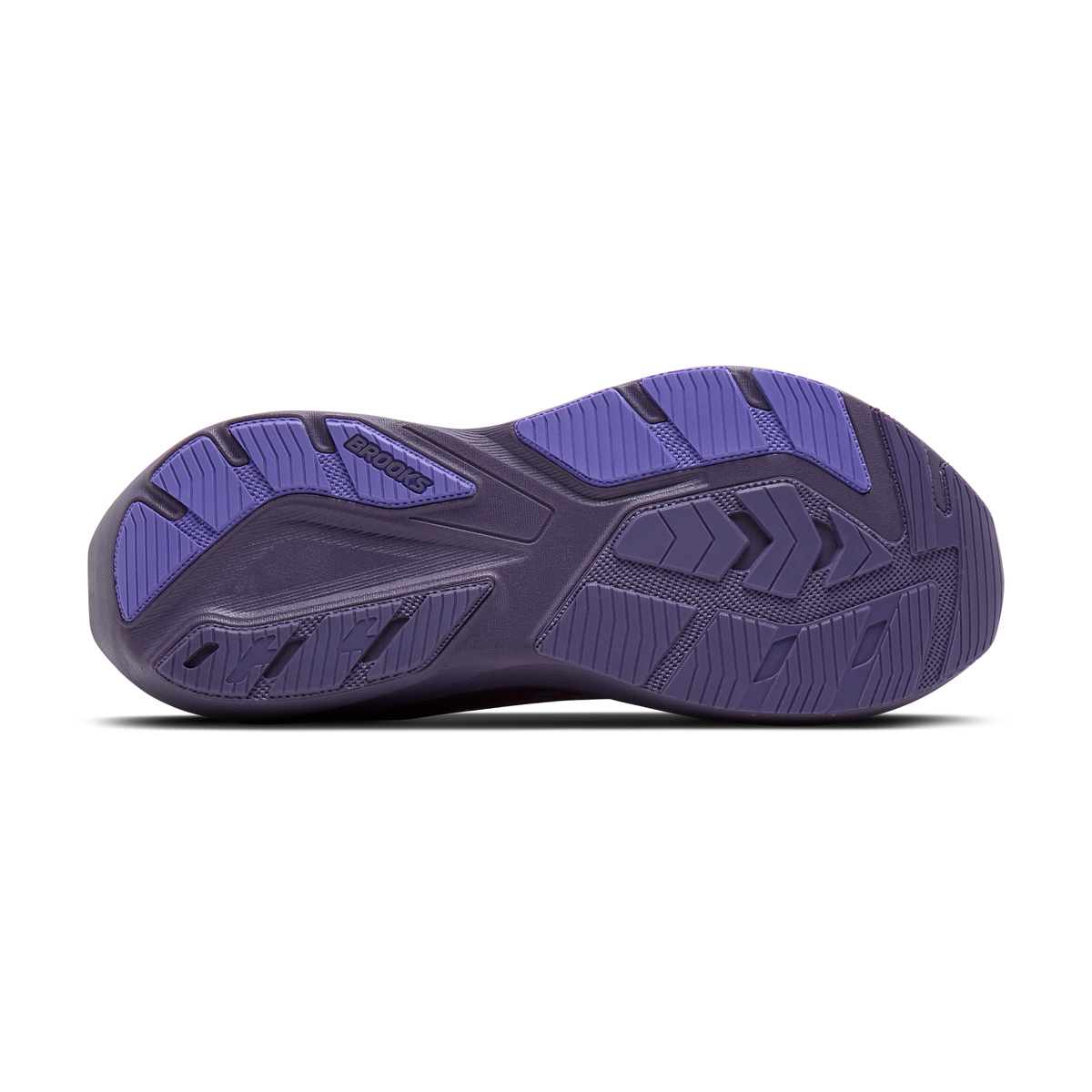 sole