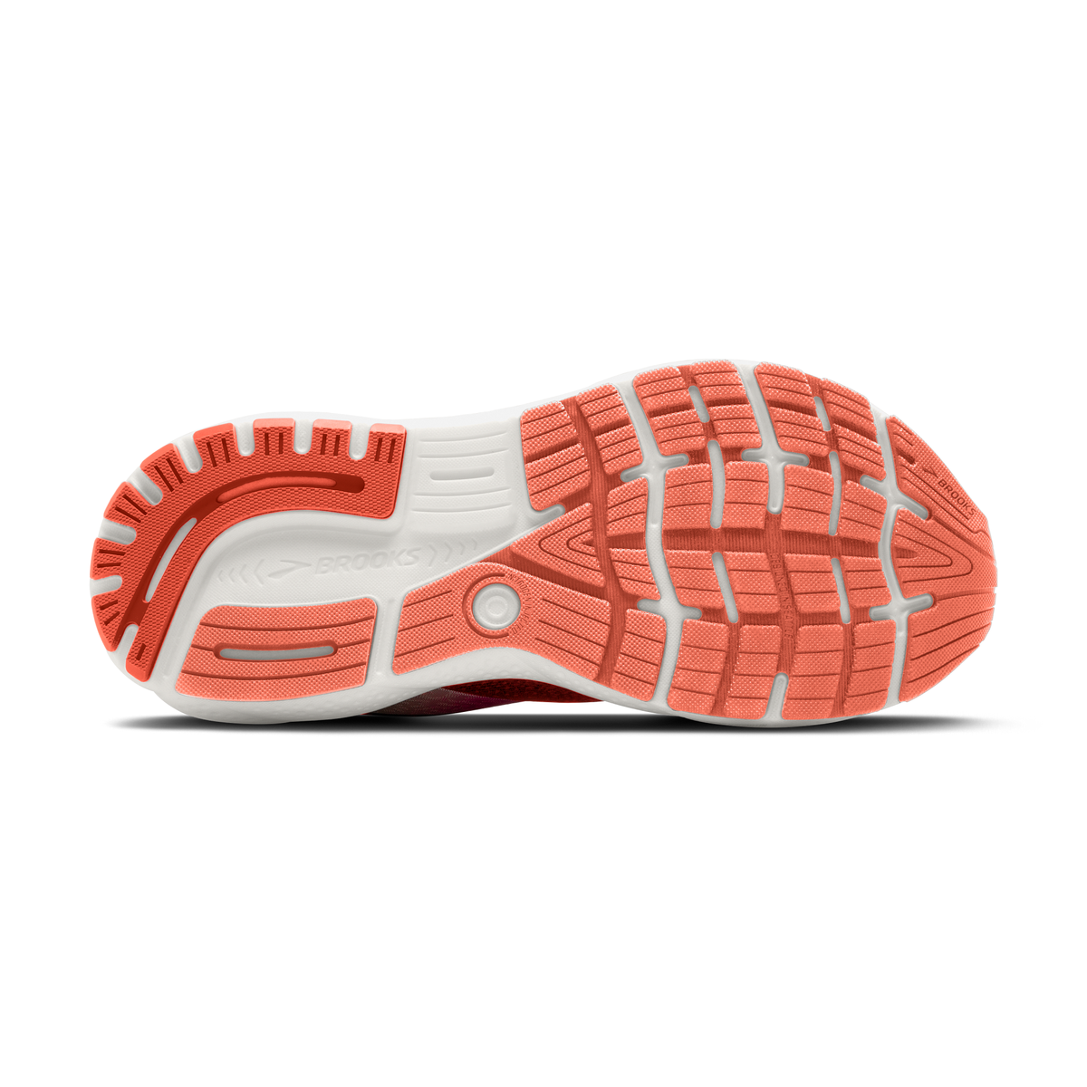 sole