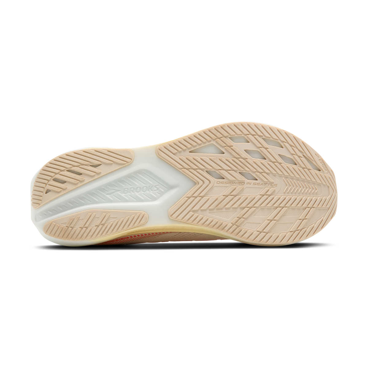 sole