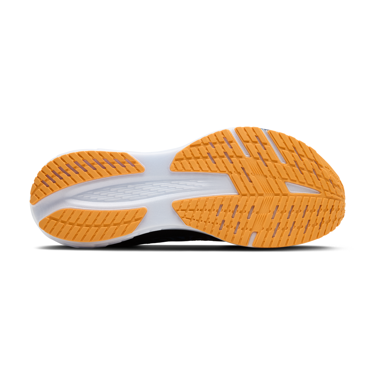 sole