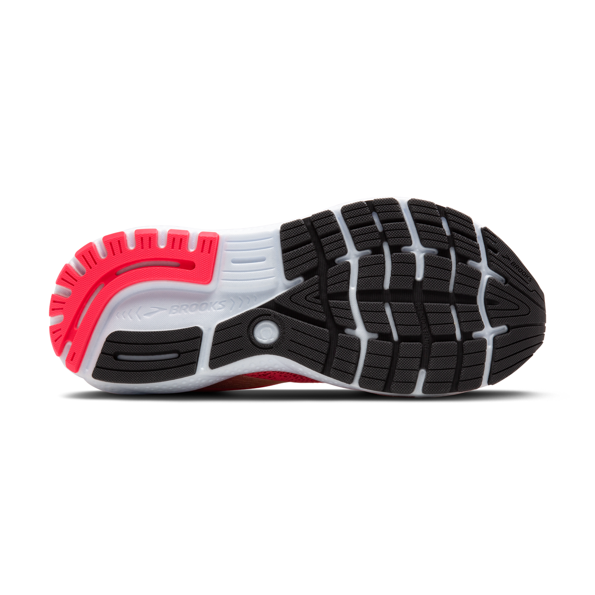 sole