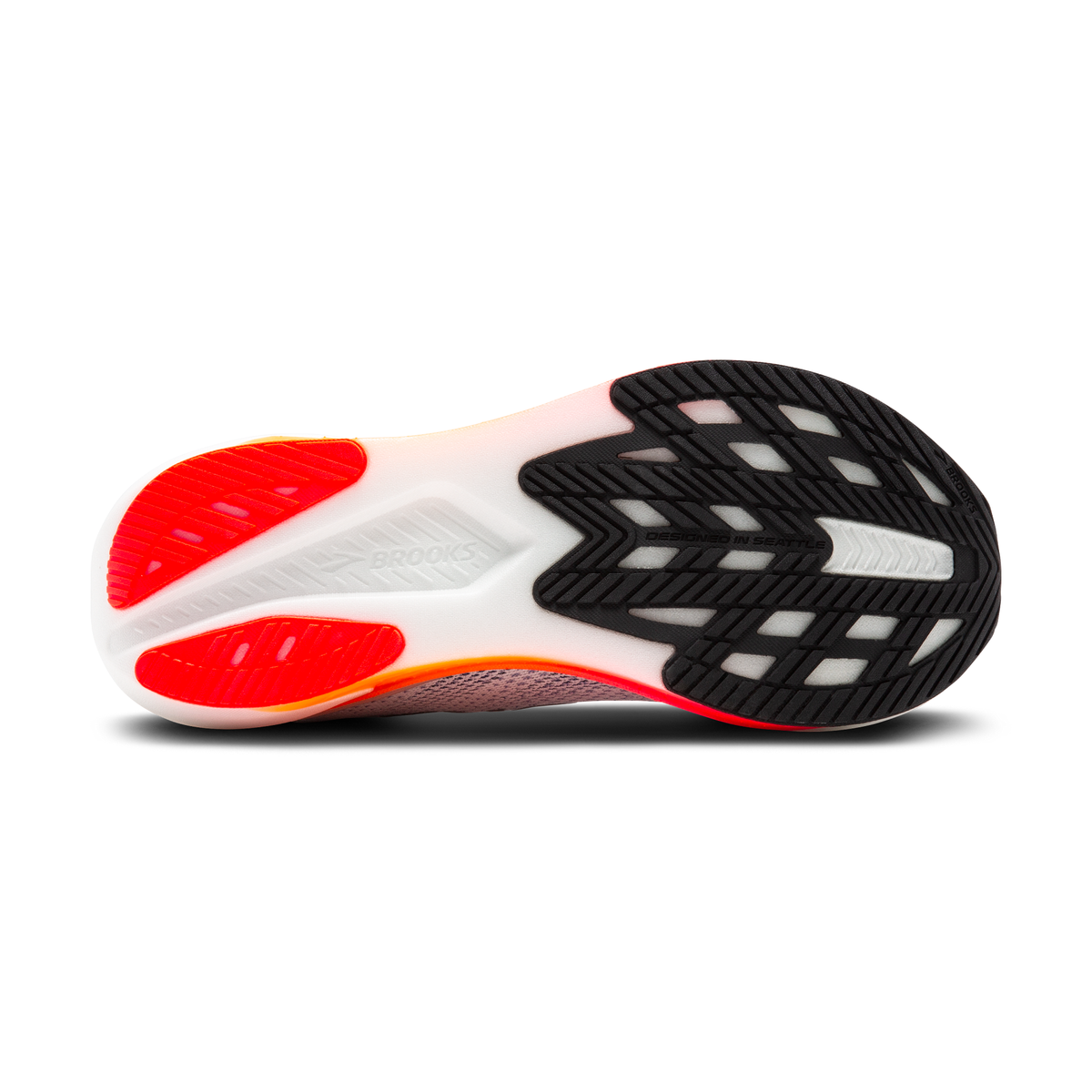 sole