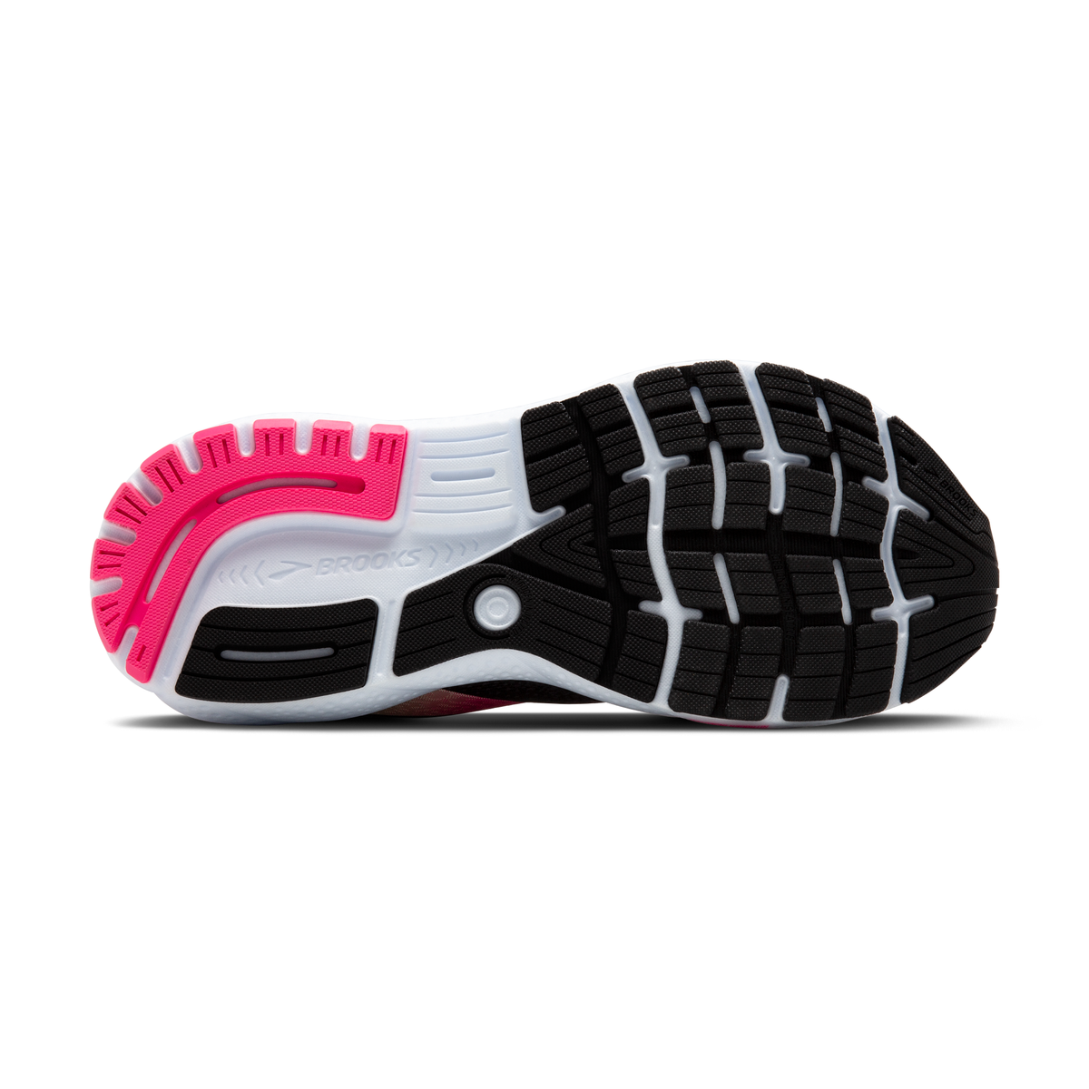 sole