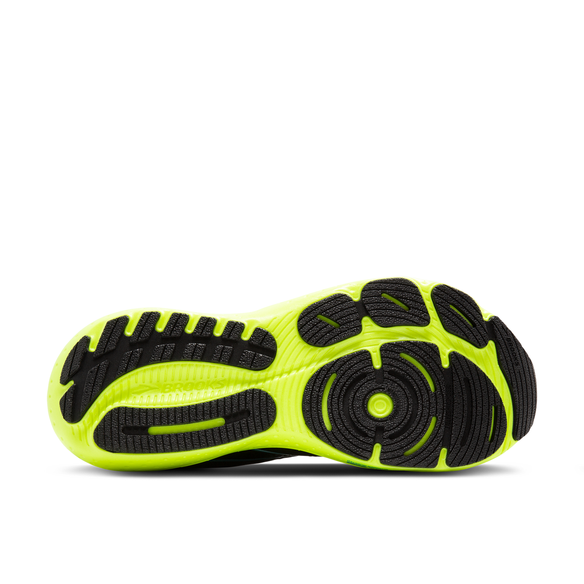 sole