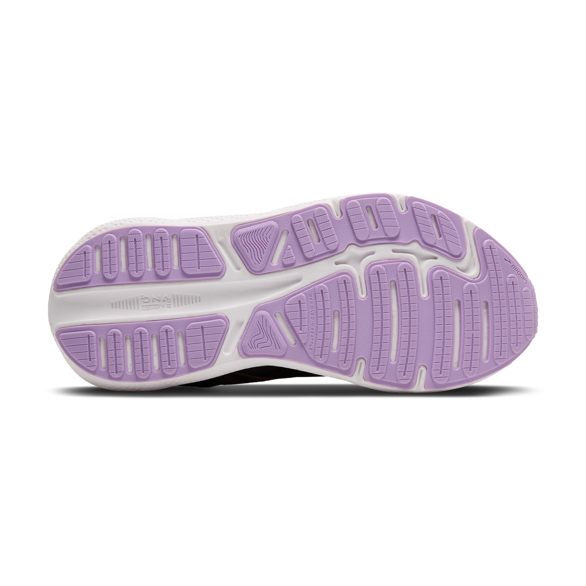 sole
