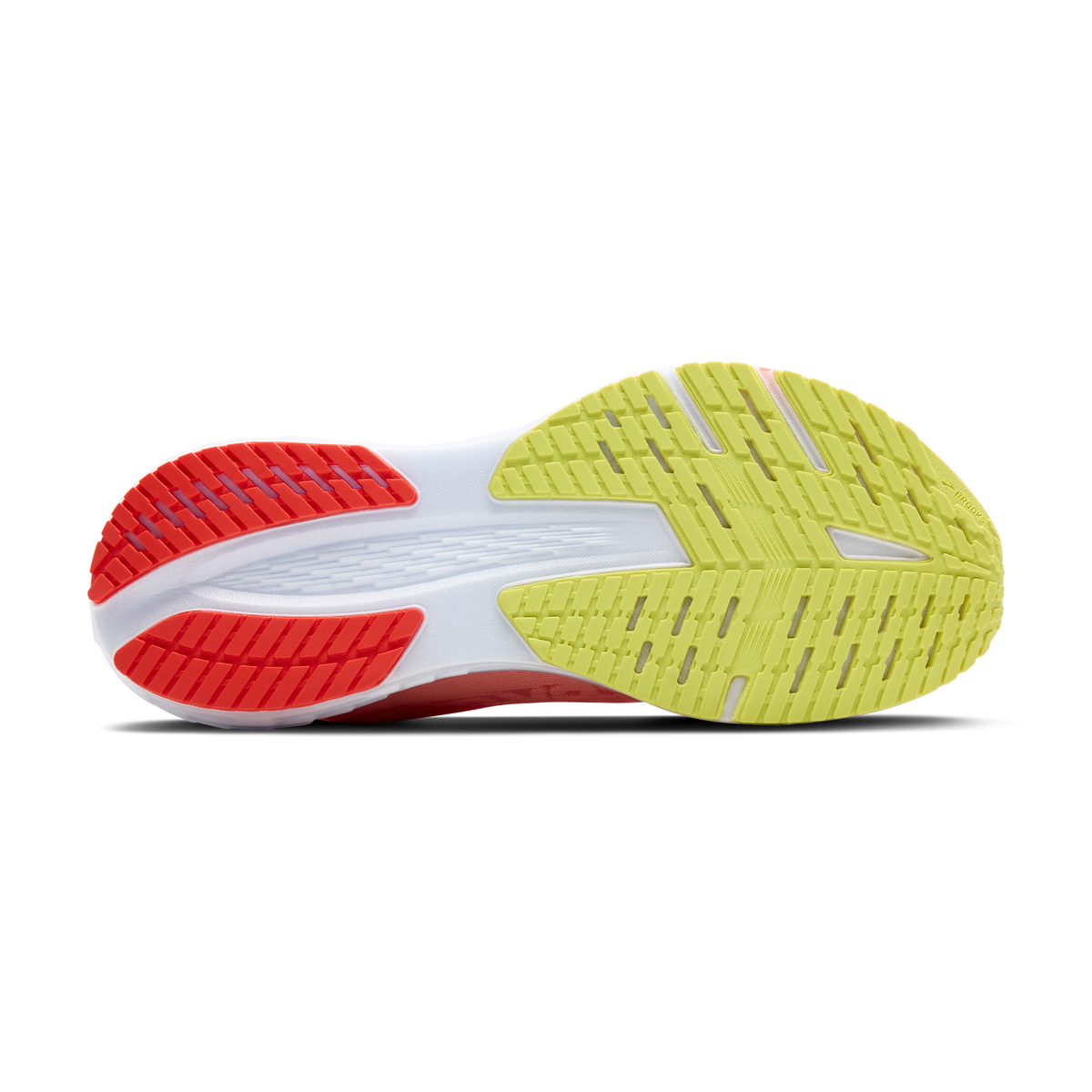 sole